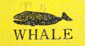 Whale