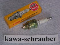 NGK Zündkerze DNEPR 300 (649ccm)