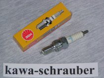 NGK Zündkerze Honda CB 600 F Hornet Typen PC34 , PC36 sowie PC41