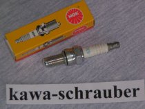 NGK Zündkerze Husqvarna TE 570 ab Baujahr 2001