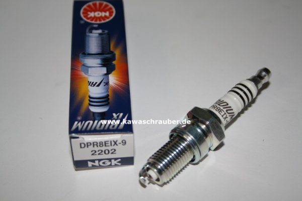 DPR8EIX-9