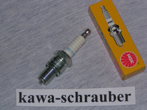 NGK Zündkerze Kawasaki Z 440 H KZ 440 H (nur italienische Modelle !!)
