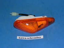 Blinker Kawasaki ZZR600 ZX600E vorne links