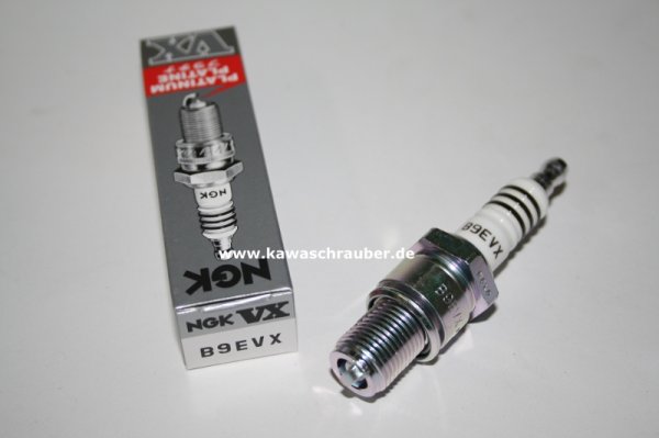 NGK Zündkerze KTM 50 GXR