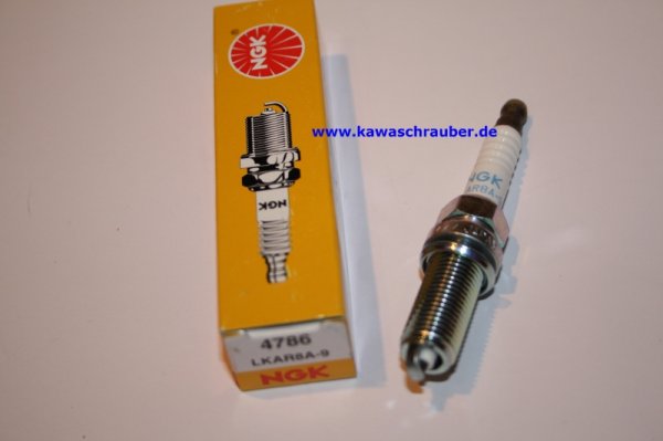 NGK Zündkerze KTM 450 EXC Baujahre 2008 bis 2009 sowie 450 EXC-R ab Baujahr 2007