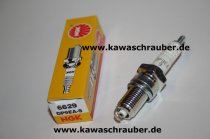 NGK Zündkerze KTM 500 4 TGS