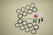 Kawasaki ZZR1100 ZXT10C / ZXT10D RepSatz Bremse / Bremssattel Reparatursatz Bremszange vorne