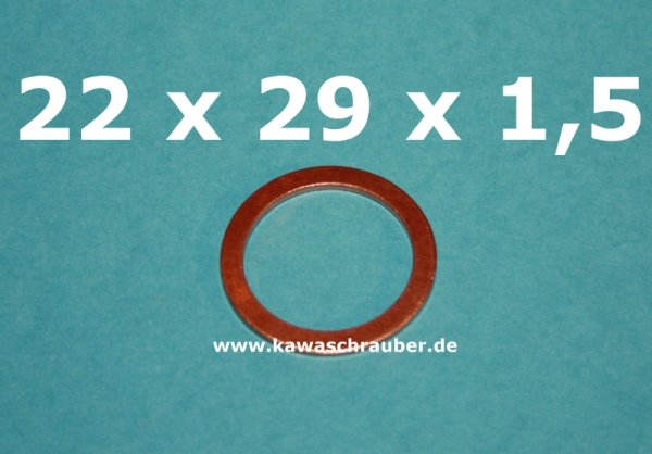 Dichtring Dichtung Kupfer massiv Dresselhaus DIN7603A 22x29x1,5