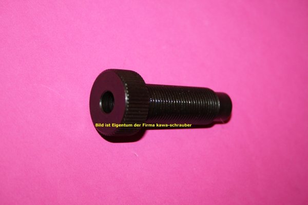 Whale Nietbolzen (Vollnieten) Aufnahme / Schraubhülse Kettenteilung 520 bis 532