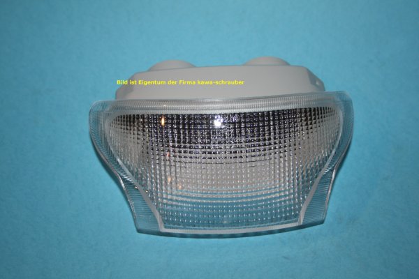 LED Klarglas Rücklicht mit Prüfzeichen für Triumph Speed Triple 955 Bj. 1999-2001