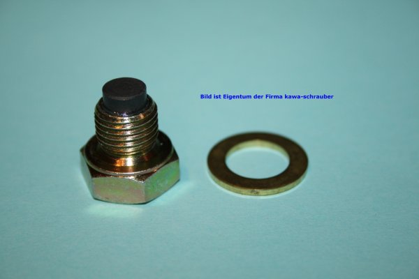 Öl Ablaßschraube Ablassschraube magnetisch mit Dichtring M12x1,25 für Suzuki