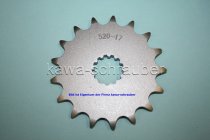 21,6x25 Ritzel vorne 525 17 Zähne