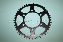 Kettenblatt / Ritzel hinten 124mm Lochkreis 6-Loch Nabe 100mm 520 45 Zähne