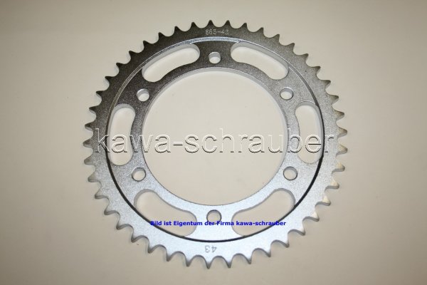 Kettenblatt / Ritzel hinten 145mm Lochkreis 6-Loch Nabe 125mm 530 43 Zähne