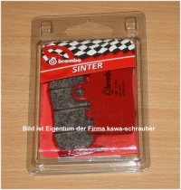 Brembo Sinter Bremsbeläge vorne BMW R1200GS R 1200 GS Triple Black Typ R12