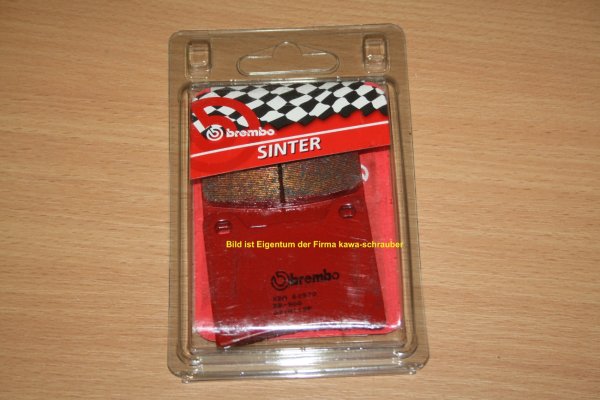 Brembo Sinter Bremsbeläge hinten Yamaha YZF600 Thundercat Bj. ab 1996