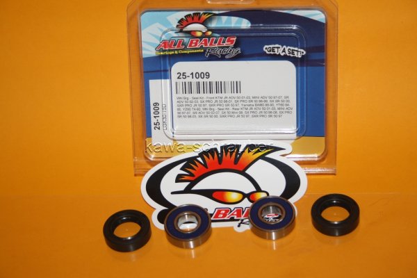 25-1009 All Balls Radlager Satz Radlagersatz