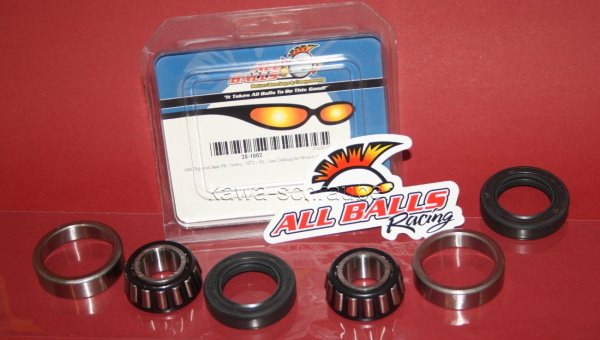 25-1002 All Balls Radlager Satz Radlagersatz