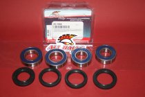 All Balls Radlager Satz Radlagersatz hinten rear Hinterrad Aprilia Tuono 1000 R