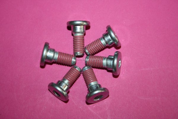 MSW101BO Schraube Bremsscheibe Befestigungsschraube 6 Stück