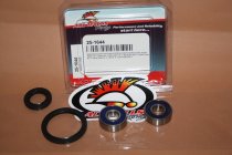 All Balls Radlager Satz Radlagersatz vorne front Vorderrad Honda NSR75 (EURO)