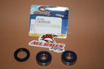 All Balls Radlager Satz Radlagersatz hinten rear Hinterrad Honda CT125 Trail