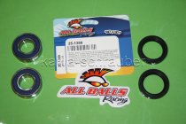 All Balls Radlager Satz Radlagersatz vorne front Vorderrad Kawasaki ZX600 (ZX-6R) Bj. 1995-1997