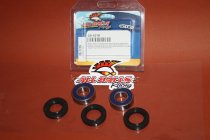 All Balls Radlager Satz Radlagersatz vorne front Vorderrad Kawasaki 750 H2