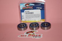 All Balls Radlager Satz Radlagersatz hinten rear Hinterrad Suzuki VX800