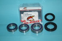 All Balls Radlager Satz Radlagersatz hinten rear Hinterrad Suzuki GSXR1300 R Hayabusa Bj. 1999-2007