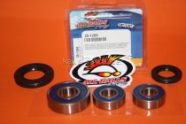 All Balls Radlager Satz Radlagersatz hinten rear Hinterrad Suzuki RF600 R