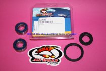 All Balls Radlager Satz Radlagersatz vorne front Vorderrad Yamaha YZF600R