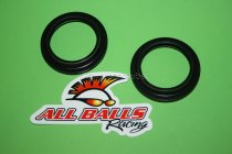 Staubkappen Gabel Kawasaki ZZR1400