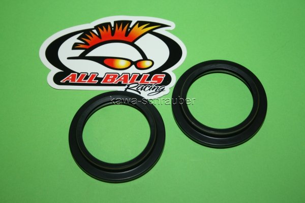 Staubkappen Gabel BMW F800GS