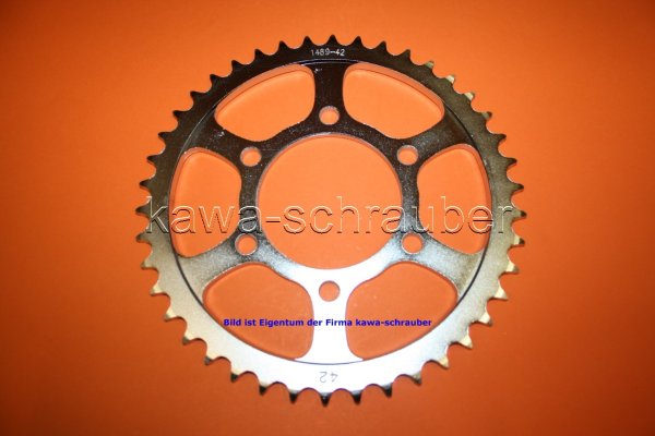 Kettenblatt / Ritzel hinten 42 Zähne Kawasaki ZX636 Bj. 2002 (geänderte Übersetzung)