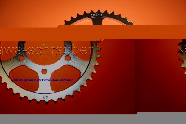 Kettenblatt / Ritzel hinten 43 Zähne Kawasaki ZX-10R ZX10R Ninja (geänderte Übersetzung)