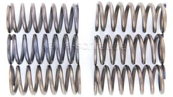 Kupplungsfedern Federn Kupplung verstärkt Aprilia RSV 1000 Mille / R Typen ME / RP / RR bis Bj. 2008