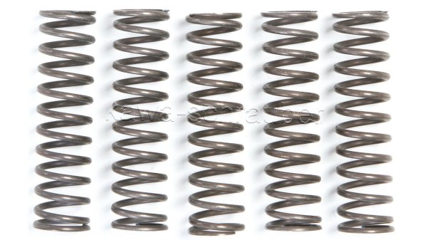 Kupplungsfedern Federn Kupplung verstärkt Kawasaki KLX450R Bj. 2008-2018