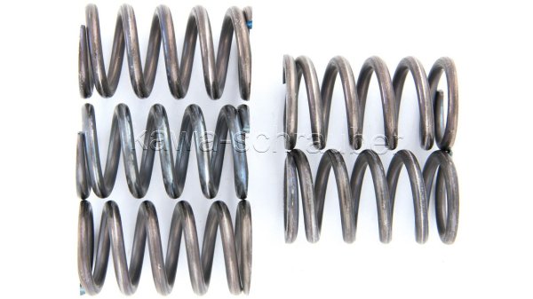 Kupplungsfedern Federn Kupplung verstärkt Kawasaki W650 Typen EJ650A EJ650C