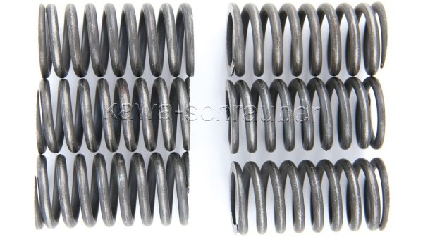 Kupplungsfedern Federn Kupplung verstärkt Suzuki SV650 Typ WVX0 WVX1