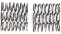 Kupplungsfedern Federn Kupplung verstärkt Yamaha YZF600 R6S Typ RJ11 Bj. 2006-2007