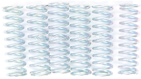 Kupplungsfedern Federn Kupplung verstärkt Yamaha FZR750R Typen 3CU / 2TT Bj. 1987-1988