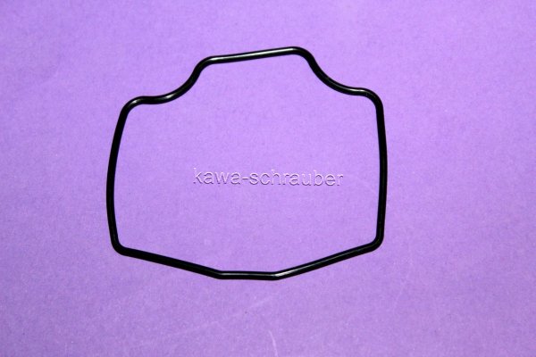 FBG-209 Dichtung Schwimmerkammer Schwimmerkammerdichtung