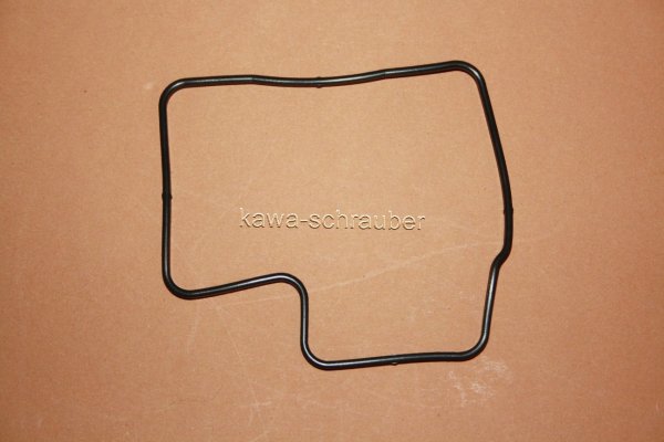 FBG-124 Dichtung Schwimmerkammer Schwimmerkammerdichtung