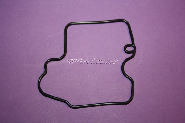 FBG-256 Dichtung Schwimmerkammer Schwimmerkammerdichtung