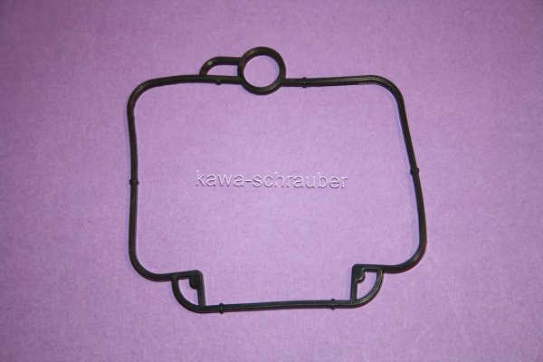 FBG-251 Dichtung Schwimmerkammer Schwimmerkammerdichtung