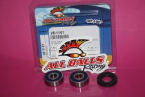 All Balls Radlager Satz Radlagersatz vorne Yamaha PW80 TTR90 TTR110 TT-R 90 110