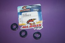 All Balls Radlager Satz Radlagersatz hinten Husqvarna CR65 Bj. 2012