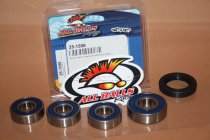 All Balls Radlager Satz Radlagersatz hinten Honda CBF250 Typ MC35 Bj. 2004-2006