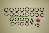 Kawasaki ZRX1200 / ZRX1200R / ZRX1200S RepSatz Bremse / Bremssattel Reparatursatz Bremszange vorne